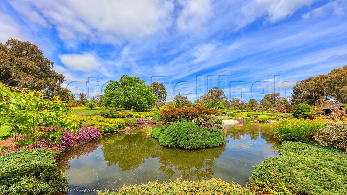 Peter Bellingham Photography Japanese Garden - Cowra